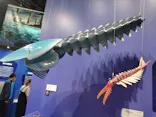 大絶滅展ー生命史のビッグファイブ（名古屋会場）に投稿された画像（2026/8/24）