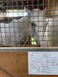 ノーザンホースパークに投稿された画像（2026/8/24）