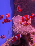 仙台うみの杜水族館に投稿された画像（2026/8/24）