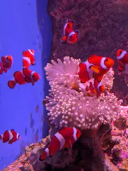 仙台うみの杜水族館に投稿された画像（2026/8/24）