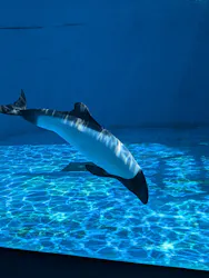 仙台うみの杜水族館に投稿された画像（2026/8/24）