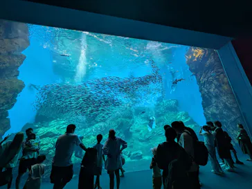 仙台うみの杜水族館に投稿された画像（2026/8/24）