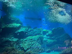 仙台うみの杜水族館に投稿された画像（2026/8/24）