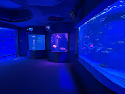 仙台うみの杜水族館に投稿された画像（2026/8/24）