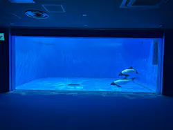 仙台うみの杜水族館に投稿された画像（2026/8/24）