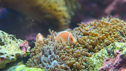 サンシャイン水族館に投稿された画像（2026/8/24）