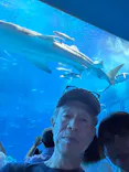 沖縄美ら海水族館に投稿された画像（2026/8/24）