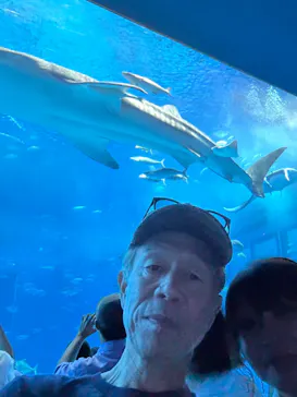 沖縄美ら海水族館に投稿された画像（2026/8/24）