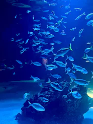 サンシャイン水族館に投稿された画像（2026/8/24）