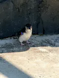 葛西臨海水族園に投稿された画像（2026/8/24）