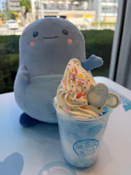新江ノ島水族館に投稿された画像（2026/8/24）