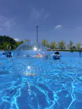 東武動物公園に投稿された画像（2026/8/24）