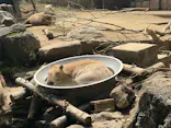 伊豆シャボテン動物公園に投稿された画像（2026/8/24）
