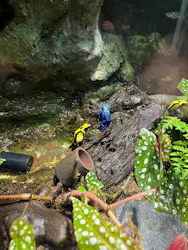 サンシャイン水族館に投稿された画像（2026/8/24）