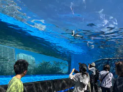 サンシャイン水族館に投稿された画像（2026/8/24）