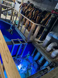 サンシャイン水族館に投稿された画像（2026/8/24）