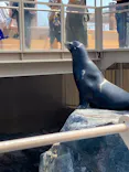 アクアワールド茨城県大洗水族館に投稿された画像（2026/8/24）