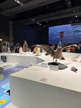大南極展に投稿された画像（2026/8/24）