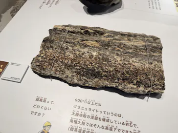 大南極展に投稿された画像（2026/8/24）