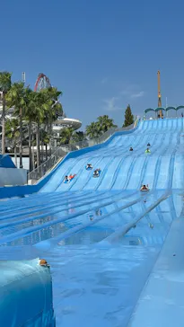 ナガシマスパーランドに投稿された画像（2026/8/24）