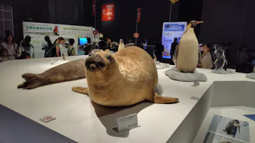 大南極展に投稿された画像（2026/8/24）