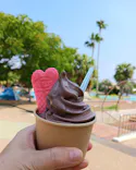 海の中道サンシャインプールに投稿された画像（2026/8/25）