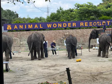 ANIMAL WONDER REZOURT 市原ぞうの国・サユリワールドに投稿された画像（2026/8/24）