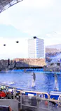 名古屋港水族館に投稿された画像（2026/8/25）