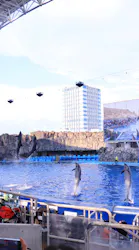 名古屋港水族館に投稿された画像（2026/8/25）