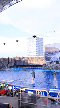 名古屋港水族館に投稿された画像（2026/8/25）