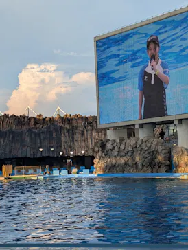 名古屋港水族館に投稿された画像（2026/8/25）
