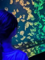 名古屋港水族館に投稿された画像（2026/8/25）