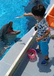 マリンワールド海の中道に投稿された画像（2026/8/25）