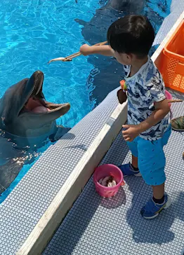 マリンワールド海の中道に投稿された画像（2026/8/25）