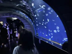 サンシャイン水族館に投稿された画像（2026/8/25）
