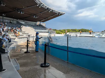 京都水族館に投稿された画像（2026/8/25）