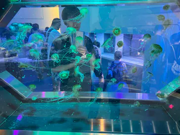 伊豆・三津シーパラダイスに投稿された画像（2026/8/25）