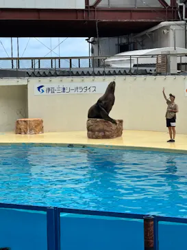 伊豆・三津シーパラダイスに投稿された画像（2026/8/25）