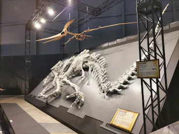 ヨコハマ恐竜展２０２６～恐竜の食卓大図鑑～に投稿された画像（2026/8/25）