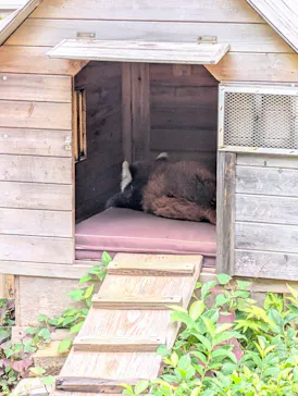千葉市動物公園に投稿された画像（2026/7/5）