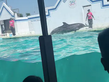 しながわ水族館に投稿された画像（2026/8/25）