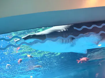 しながわ水族館に投稿された画像（2026/8/25）