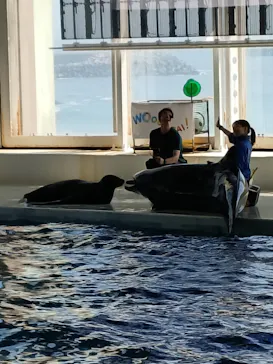アクアワールド茨城県大洗水族館に投稿された画像（2026/8/25）