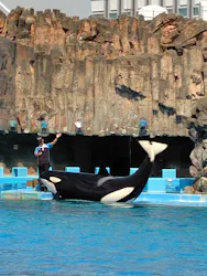 名古屋港水族館に投稿された画像（2026/8/25）