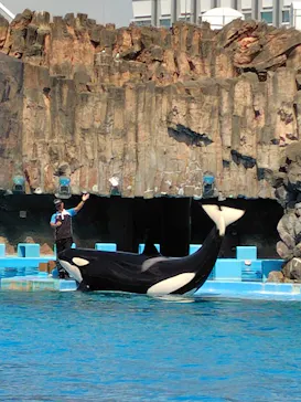 名古屋港水族館に投稿された画像（2026/8/25）