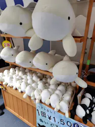 名古屋港水族館に投稿された画像（2026/8/25）
