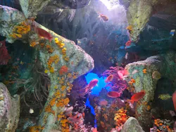 サンシャイン水族館に投稿された画像（2026/8/25）