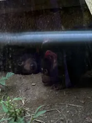 多摩動物公園に投稿された画像（2026/8/25）