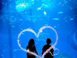 アクアワールド茨城県大洗水族館に投稿された画像（2026/8/25）