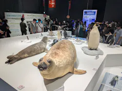 大南極展に投稿された画像（2026/8/25）